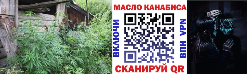 закладки  Ленинск-Кузнецкий  Дистиллят ТГК концентрат 
