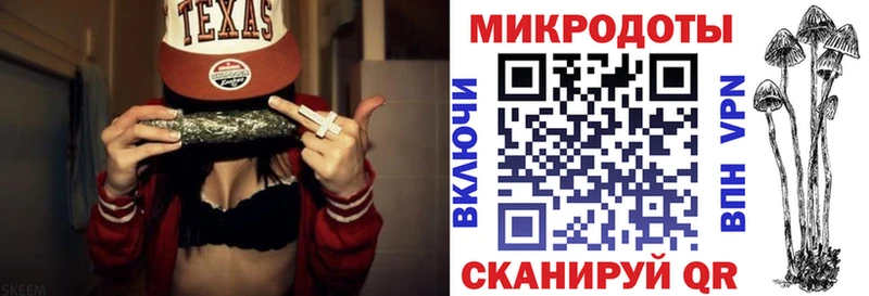 закладки  Ленинск-Кузнецкий  Псилоцибиновые грибы Cubensis 